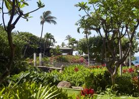 Hyatt Regency Maui Resort & Spa 3