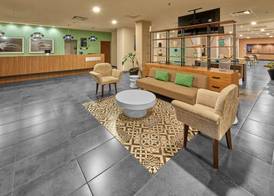 City Express Plus by Marriott Cabo San Lucas 2