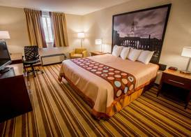 Super 8 by Wyndham State College 4