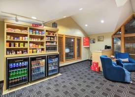 TownePlace Suites by Marriott Detroit Livonia 3