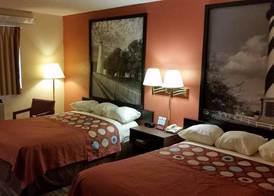 Super 8 by Wyndham Greenville 5