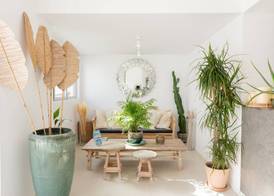 The Olive Boutique Suites & Spa 3
