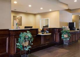 Comfort Suites Near University 3