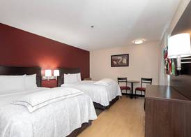 Red Roof Inn PLUS Austin South - Airport 4