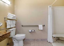Comfort Inn & Suites Suwanee - Sugarloaf 4