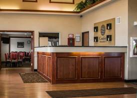 Comfort Inn & Suites Dimondale - Lansing 2