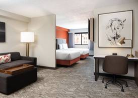 SpringHill Suites by Marriott Dallas Downtown / West End 3