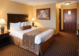 Best Western Plus Southpark Inn & Suites 4