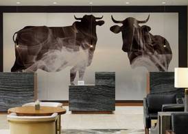 Durham Marriott City Center 2