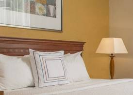 Fairfield Inn & Suites by Marriott Williamsburg 4