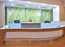 Springhill Suites by Marriott Chicago Elmhurst Oakbrook Area 4