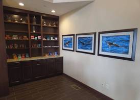 MainStay Suites LeClaire - Quad Cities 4