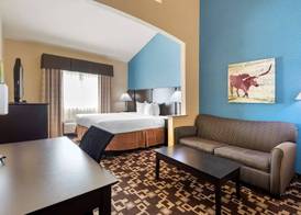 Best Western Plus Arlington North Hotel & Suites 4