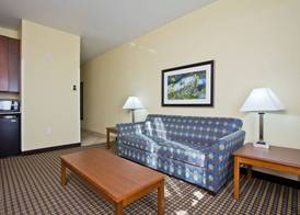 Holiday Inn Express & Suites DENVER EAST-PEORIA STREET by IHG 3