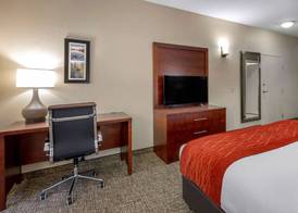 Comfort Inn & Suites Canton Riverstone Area 3