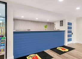 Super 8 by Wyndham Orlando Near Florida Mall 4