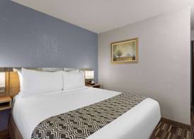 Microtel Inn and Suites - Zephyrhills 5