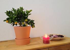Apartmenthaus Feuerbach 2