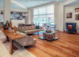 Residence Inn by Marriott Boston Burlington 3