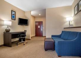 Comfort Suites Mobile West Tillmans Corner 5