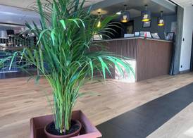 Brit Hotel Baillet-en-France 2