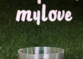 Mylo Hotel 3