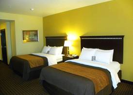 Comfort Inn & Suites Regional Medical Center 5