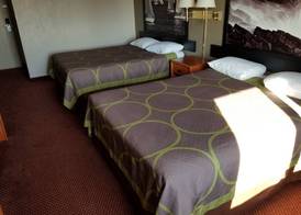 Super 8 by Wyndham Bellingham Airport/Ferndale 5