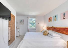 Pineapple Shores Retro Inn 3