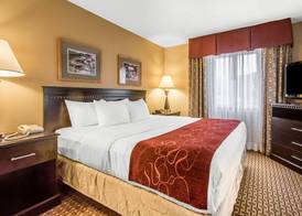 Comfort Suites Wisconsin Dells Area 3