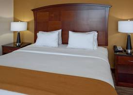 Holiday Inn Express & Suites AUSTIN SOUTH-BUDA by IHG 5