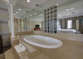 Holiday Inn PLAINVIEW-LONG ISLAND by IHG 3