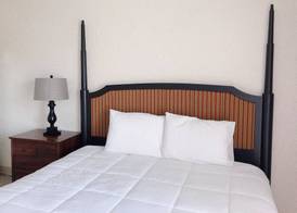 Hilo Reeds Bay Hotel 5