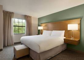 Staybridge Suites TAMPA EAST- BRANDON by IHG 5