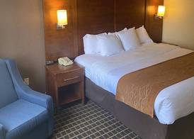 Comfort Inn Springfield 3
