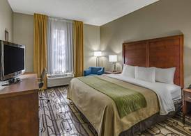 Comfort Inn & Suites Staunton 5