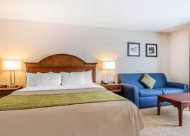 Comfort Inn & Suites South Burlington near University 5