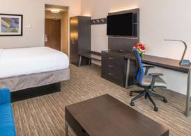 Holiday Inn Express & Suites TAMPA NORTH - WESLEY CHAPEL by IHG 4