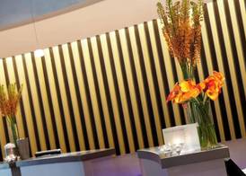 Renaissance St. Louis Airport Hotel 2