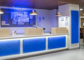 Holiday Inn Express MEXICO BASILICA by IHG 2