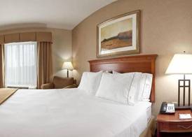 Holiday Inn Express & Suites SHELDON by IHG 3