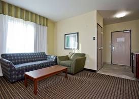 Holiday Inn Express & Suites DENVER EAST-PEORIA STREET by IHG 2