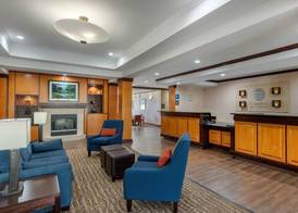 Comfort Inn & Suites 3