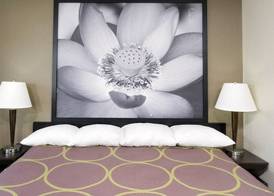 Super 8 by Wyndham Florence 4
