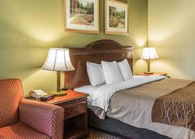 Quality Inn & Suites Ann Arbor Hwy 23 5