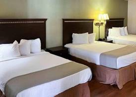 Motel 6 Abbeville, AL 4