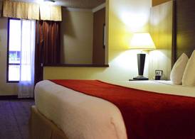 Best Western Galleria Inn & Suites 5