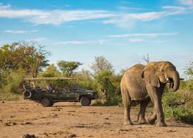 Tau Game Lodge 2