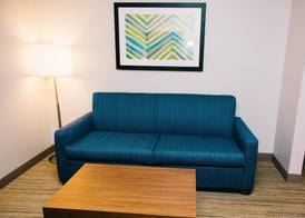 Holiday Inn Express & Suites TAMPA -USF-BUSCH GARDENS by IHG 2