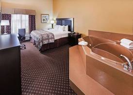 La Quinta by Wyndham Alvin 4